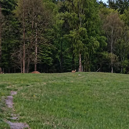 Schlaffass - Kleiner Berghof Im Bayerischen Wald مكان تخييم Stallwang