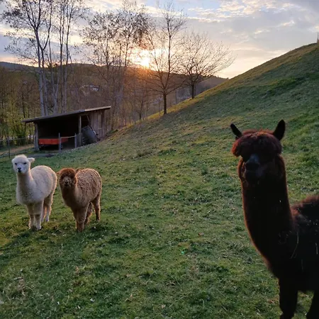 Schlaffass - Kleiner Berghof Im Bayerischen Wald * Stallwang